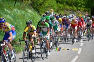 Alexis Vuillermoz (Sojasun) sur le Col de Pavezin (356x)