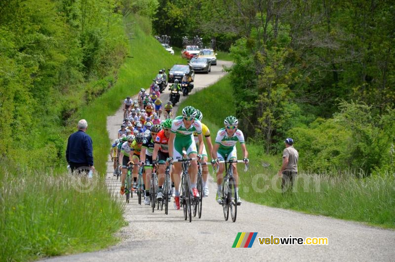 Het peloton onder aanvoering van Sojasun