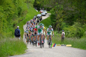 The peloton led by Sojasun (412x)