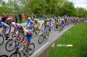 The peloton on the Col de la Croix de Toutes Aures (3) (230x)