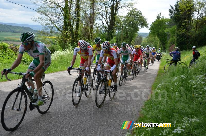 Het peloton op de Côte d'Arzay (3)