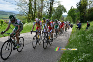 The peloton on the Côte d'Arzay (3) (240x)