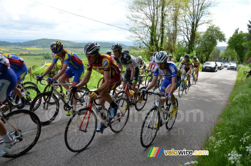 The peloton on the Côte d'Arzay (5)