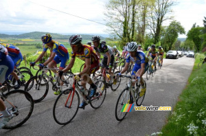 The peloton on the Côte d'Arzay (5) (372x)