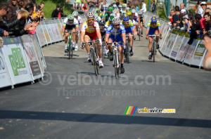 The sprint of the peloton has started (486x)