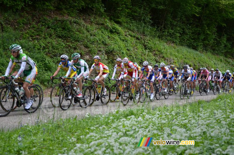 Le peloton sur la première montée de la Côte de l'Etang de Ry (3)