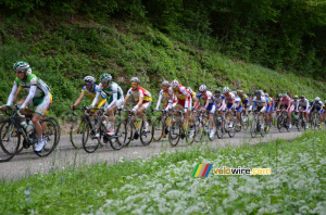 The peloton on the first climb of the Côte de l'Etang de Ry (3) (275x)