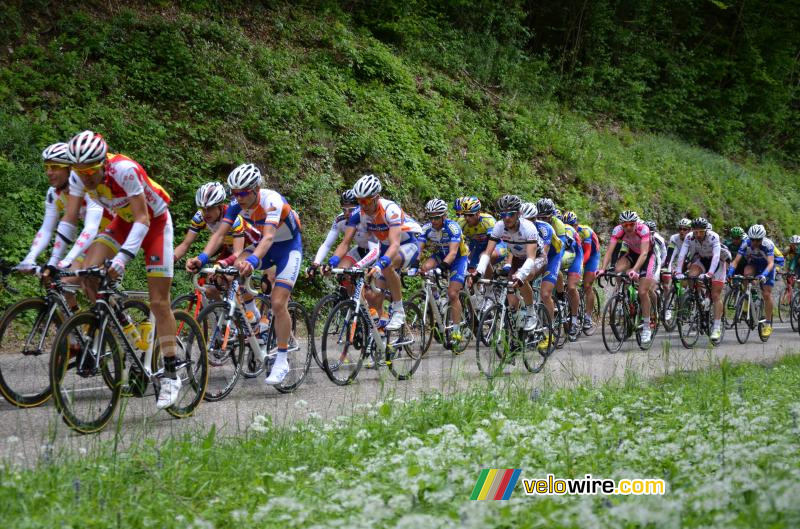 The peloton on the first climb of the Côte de l'Etang de Ry (4)