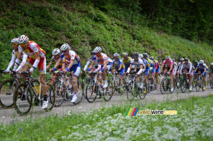 The peloton on the first climb of the Côte de l'Etang de Ry (4) (333x)