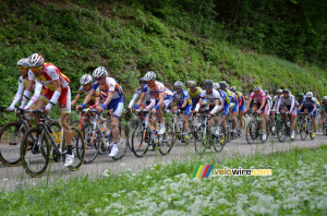 Le peloton sur la première montée de la Côte de l'Etang de Ry (4) (294x)