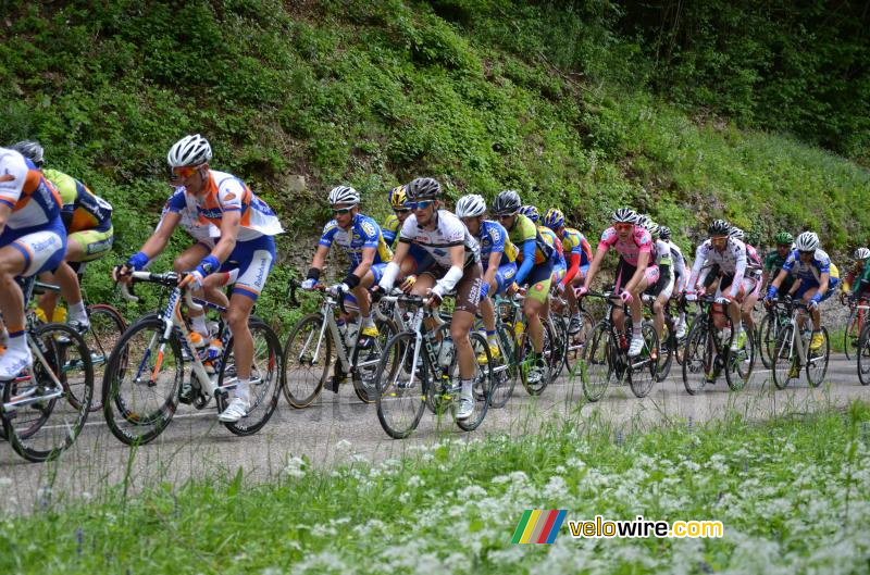 Het peloton op de eerste klim van de Côte de l'Etang de Ry (5)