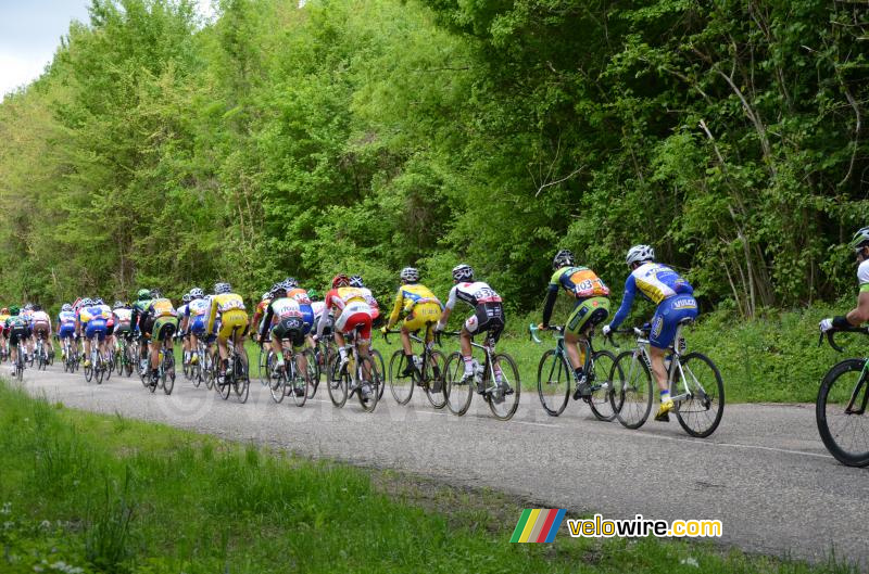 Het peloton gaat er vandoor