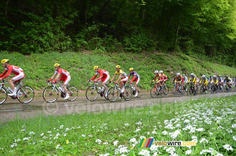 Le peloton au 3ème passage sur la Côte de l'Etang de Ry