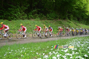 Le peloton au 3ème passage sur la Côte de l'Etang de Ry (254x)