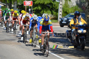 The peloton on the first lap on the circuit (251x)