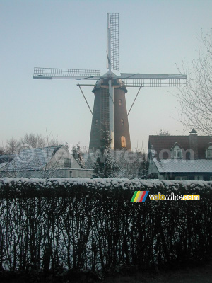 Le moulin d'Ulvenhout (209x)