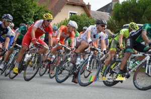 Le peloton à Mouhers (3) (291x)