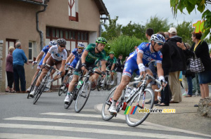 The peloton in Mouhers (7) (247x)