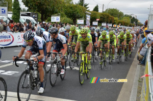 Vini Fantini-Selle Italia at the head of the peloton (343x)