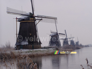 Moulins à Kinderdijk (435x)