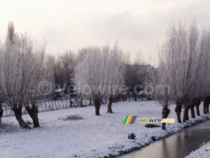 Paysage hivernal à Kinderdijk (413x)