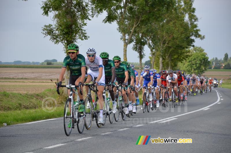 The peloton led by the sprinters teams in Hinges