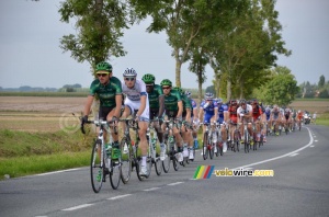 The peloton led by the sprinters teams in Hinges (296x)