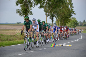 Le peloton emmené par les équipes des sprinters à Hinges (296x)