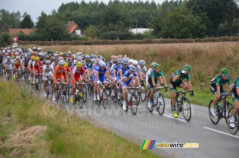 The peloton close to Enguinegatte (2)