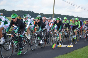 Le peloton près de La Jousselinière (391x)