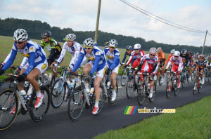 Le peloton près de La Jousselinière (2) (375x)