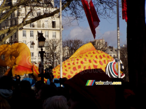 Un poisson (262x)