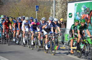 Le peloton à deux tours de l'arrivée (430x)
