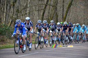Le peloton dans la Forêt des Dames (360x)