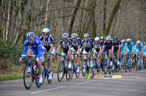 Le peloton dans la Forêt des Dames (287x)