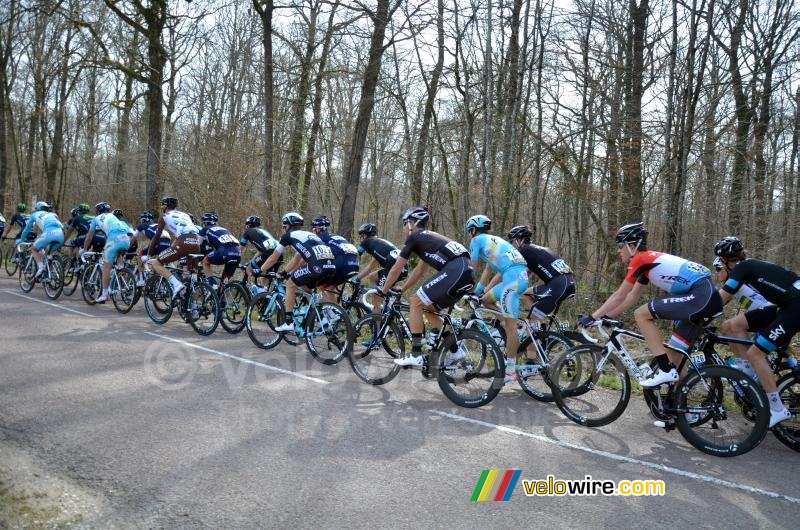 Het peloton in het Forêt des Dames (2)