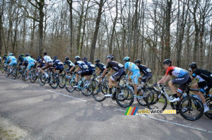 The peloton in the Forêt des Dames (2) (243x)