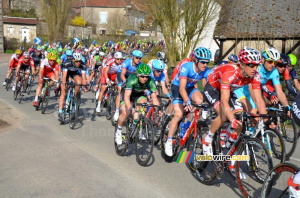 Le peloton à Anlezy (2) (323x)