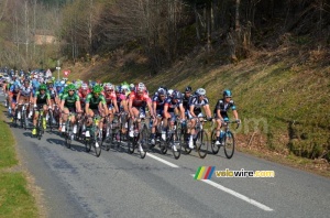 The peloton at the foot of the col du Champ Juin (345x)