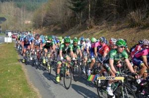 The peloton at the foot of the col du Champ Juin (2) (281x)
