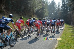 The peloton at the foot of the col du Champ Juin (3) (364x)