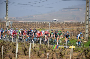 Le peloton à la sortie de Juliénas (482x)