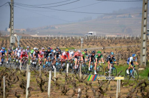 The peloton at the exit of Juliénas (378x)