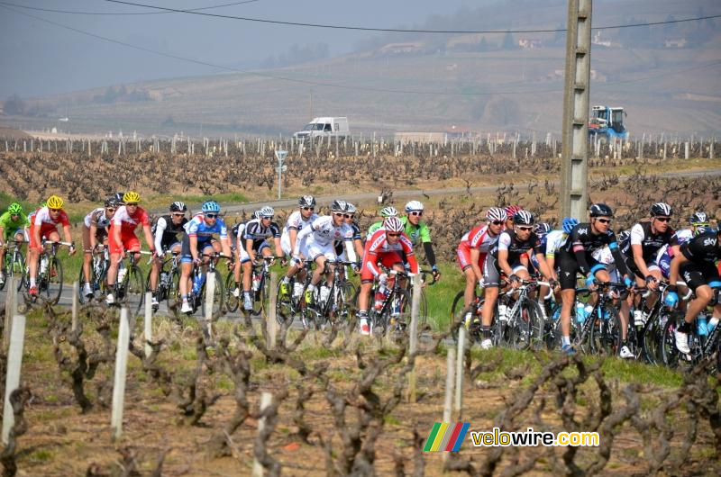 The peloton at the exit of Juliénas (2)