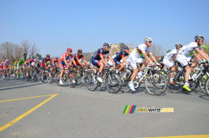 Le peloton avec Rui Costa (434x)