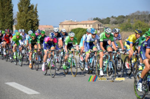 A split-up peloton close to Baumettes (4) (422x)