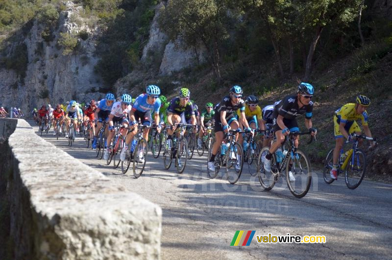 Le peloton dans la descente de la Côte de Bonnieux