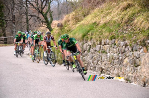 The peloton leaving Gréolières (308x)