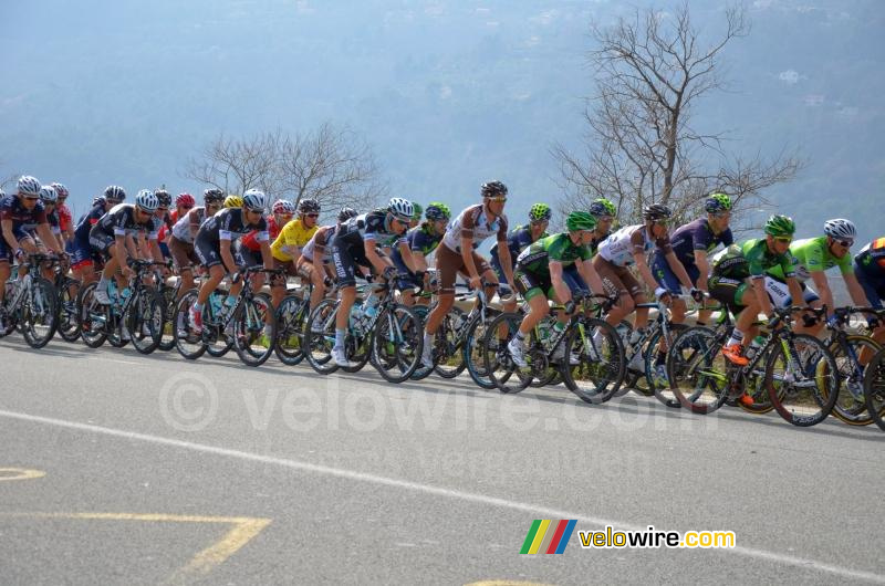 Le peloton à Saint-Martin-du-Var