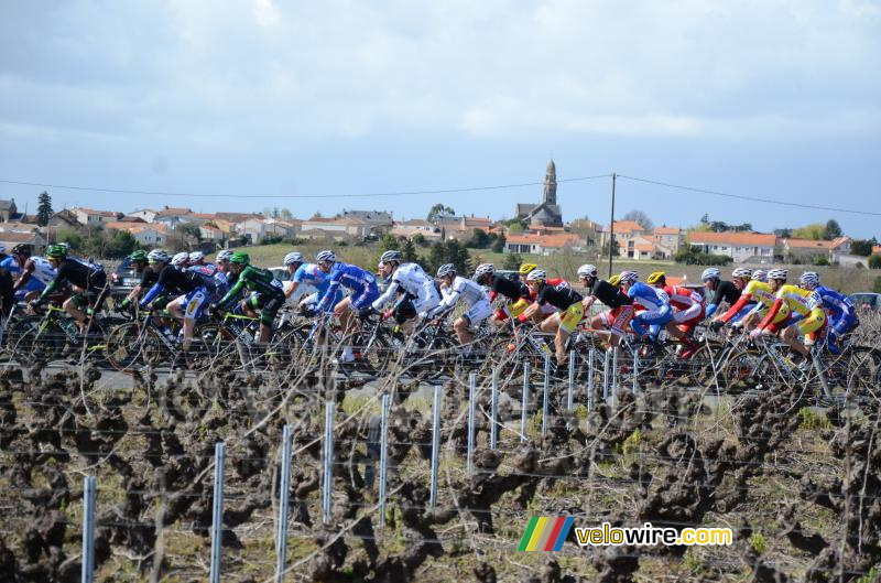 The peloton in the 4th lap